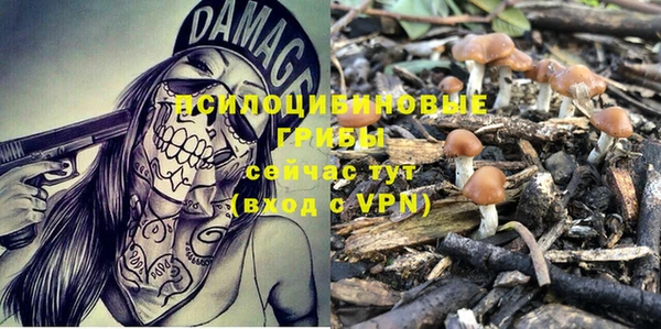стафф Усолье-Сибирское