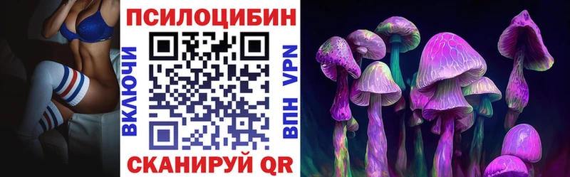 Купить  Богданович  Галлюциногенные грибы мухоморы 